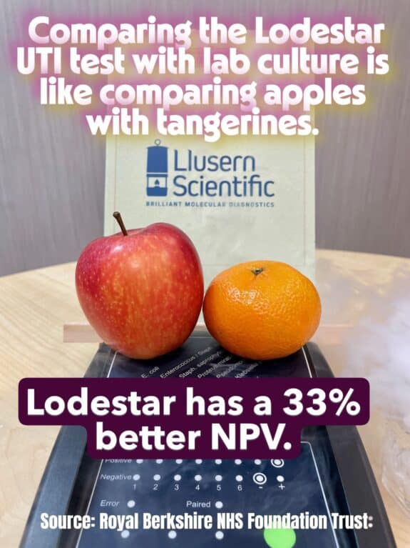 Lodestar v MC&S